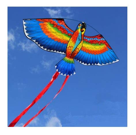 『 Twiga 4 and birds 』 by Mwamedi 59*59cm Twiga 4 and birds 』 by Mwamedi 59*59cm Twiga Compact Reach