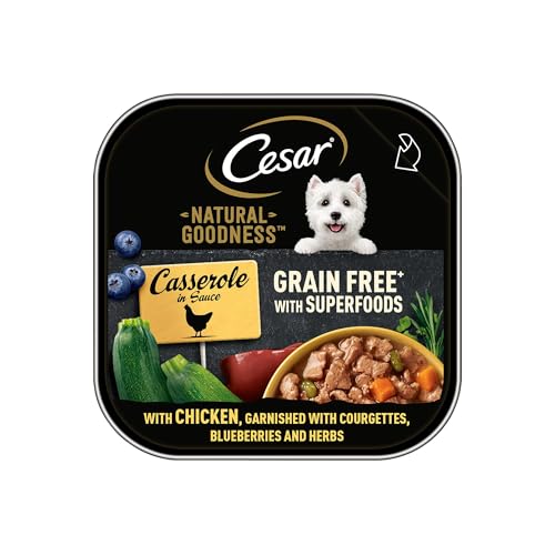 Cesar Natural Goodness Casserole - Wet Dog Food - for Adult Dogs - with Chicken in Gravy - 16 x 100 g