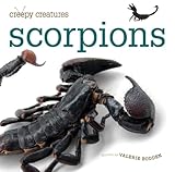 Creepy Creatures: Scorpions