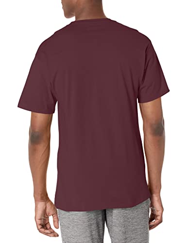 Champion Mens Classic Jersey Tee Shirt, Maroon, X-Large US2