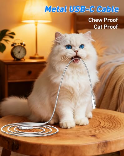 Image of Metal Braided USB-C to USB-C Cord Chew Proof - 6.6ft 60W PD Fast Charging & Data Sync, Stainless Steel Indestructible Tangle-Free Cat Dog Chew Proof Charger Cable for iPhone 17 16 Galaxy Pixel, Silver
