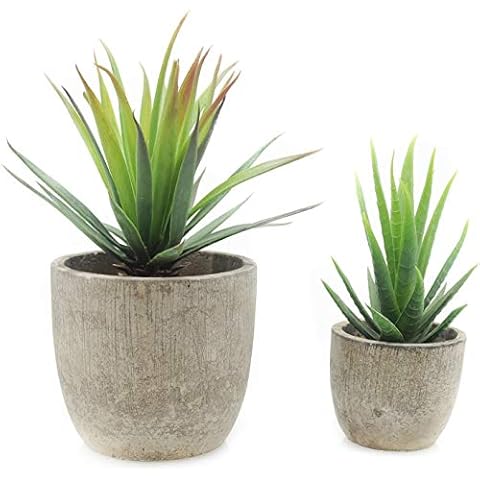 Velener Mini Home Decoration Aloe Vera Artificial Plants with Paper-Mache Pots (Set of 2), 7 inches and 5 inches, Faux Plants for Living Room, Kitchen, Bedroom, and Office Decor… Cover