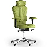 Diseño premium: silla ergonómica con soporte para la espalda tiene un diseño profiláctico, y está hecha con tela "Antara" de la más alta calidad en el exterior con relleno de elastómero elástico mononegro que se utiliza en la industria aeronáutica y automotriz, se adapta a la forma de tu cuerpo, mantiene su forma estructural para hasta 100000 ciclos de contacto físico, y puede resistir fácilmente el desgaste diario.