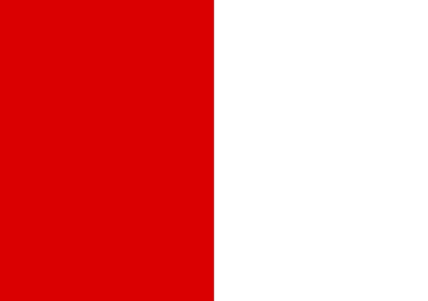 Drapeau Large Fréjus | drapeau paysage | 1.35m² |