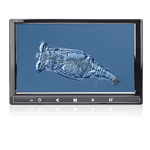 Image of 7 inch Replaceable Split Screen Microscope with 7 inch Monitor