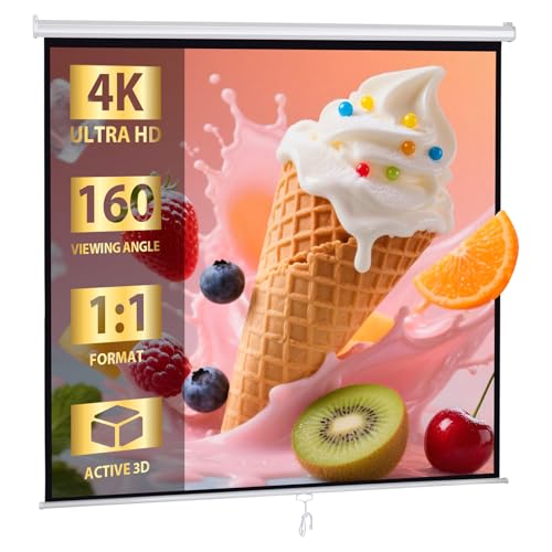 SUPER DEAL 120'' Projector Screen, Retractable Projection Screen Manual...