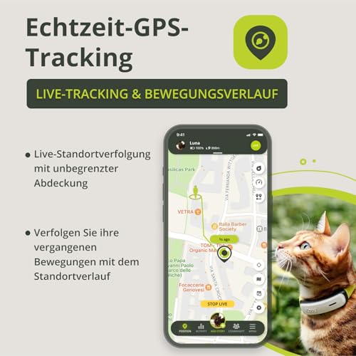 Kippy GPS-Halsband für Katzen, Kippy Cat Color, GPS-Tracker für Gesundheit und Aktivität, Katzenhalsband mit Sofortwarnung, mit virtuellen Grenzen