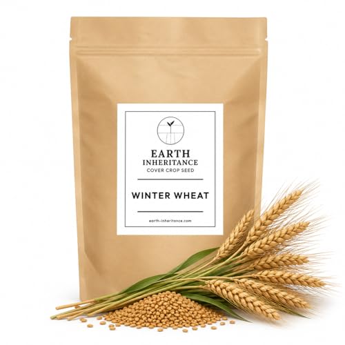 Soft Red Winter Wheat Seed 5 lb Uncoated Cover Crop Food Plot & Grain Seed | Covers up to ~2 700 sq ft | Non-GMO USA-Grown | Fall Cover Deer Food Plot Nurse Crop Home Grain Milling