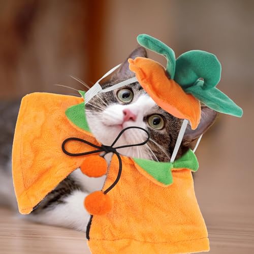 Disfraz Halloween para perro capa y sombrero, talla S miniatura 7