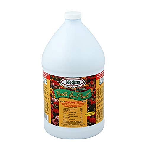 Best 6 12 12 Fertilizer the 10 Winners Hollywood Farmers Market