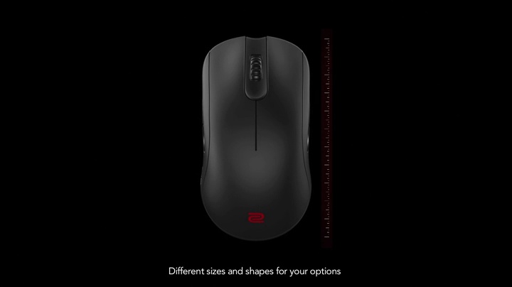 Amazon.com: BenQ Zowie CS:GO Edition EC2-B Ergonomic Gaming Mouse