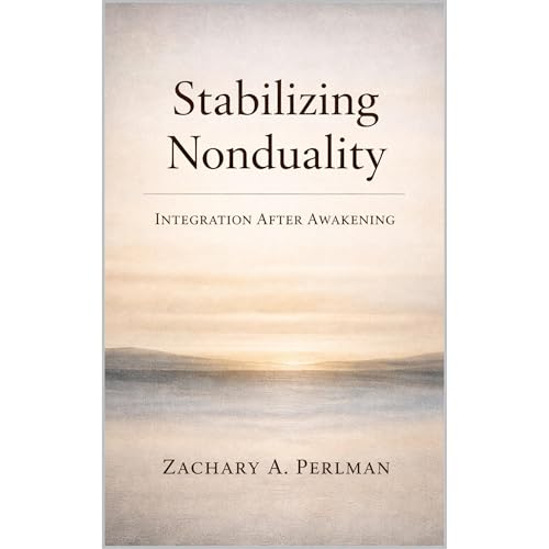 Stabilizing Nonduality Audiolibro Por Zachary Perlman arte de portada