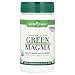 Green Foods Green Magma -- 2.8 oz
