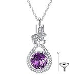 AOBOCO Butterfly Purple Urn Necklace for Ashes Sterling Silver Butterfly Cremation Jewelry Memorial Keepsake Pendant with Amethyst February Birthstone Crystal
