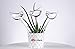 Durable Glass Birds - Plant Watering Globes - Plant Straws Self Watering - 3 Pack Gift For Gardeners - Plant Watering Bulbs - a Funnel + 3 Spikes for Indoor Plants / Self Watering Bulbs, Water Globes