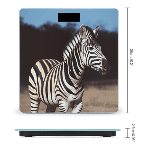 Báscula digital para baño con vidrio templado y pantalla LCD miniatura 2