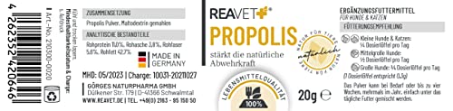 ReaVET Propolis Pulver für Hunde & Katzen 20g – Natürliches Futterergänzungsmittel zur Unterstützung von Immunsystem & Haut – Hochwertiges Propolispulver in Lebensmittelqualität