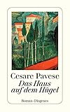  Das Haus auf dem Hügel (detebe)