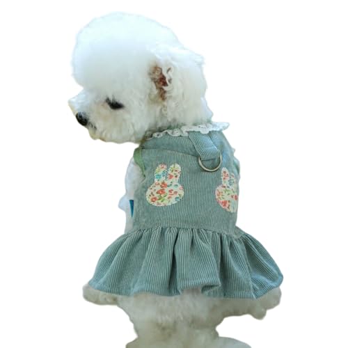    ̕ ^Ngbv s[X t hbOEFA H~ s[X t  킢 lC Ot (O[, M)