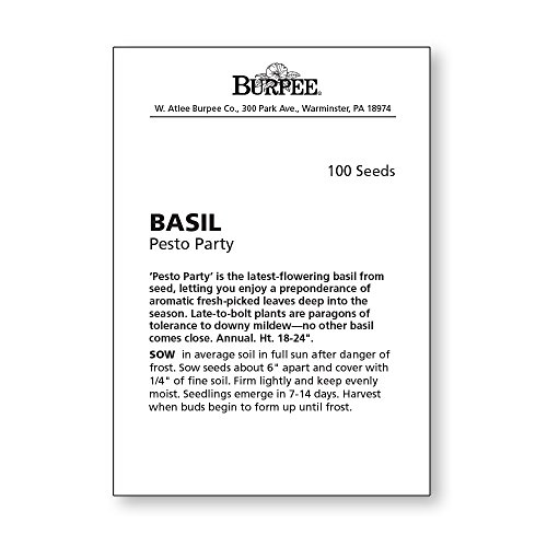 Burpee 55370A Pesto Party Basil Seeds #TOP5