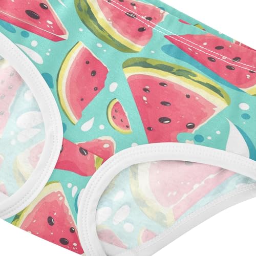 Wusikd Watermelon Slices Girls' Underwear Cotton Splashes Girls Briefs Soft Toddler Underwear 2T4