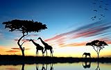 FAWFAW Puzzle Collection 1000 Pièces Afrique, Éléphant, Et, Girafe, Coucher Soleil Jeux De Puzzle Décoration Maison Cadeaux 75X50Cm