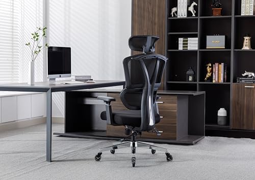 Ergonomic Office Chair, Black high-Back Office Chair, Lumbar Supp...