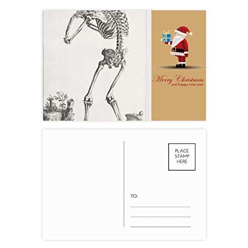 Cartes postales squelette Père Noël : lot de 20 décorations de l'anatomie humaine