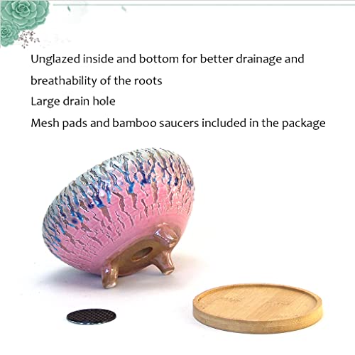 Summer Impressions Handmade Natural Cracking Round Ceramic Succulent Planter Pot Large Plant Pot With Drainge And Saucers Cactus Clay Pot (6.5 Inch Pink, 6.5 Inch) #TOP2