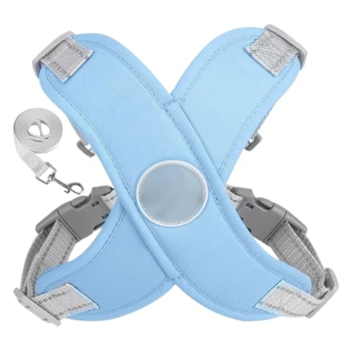 Correas Perros Pequeños Arnes Marca Generic