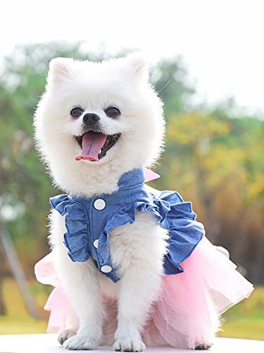 Qwinee Colorblock Bow Knot Dog Dress Birthday Party Costume Cat Princess Dress For Puppy Kitten Small Dogs Multicolor S #TOP1