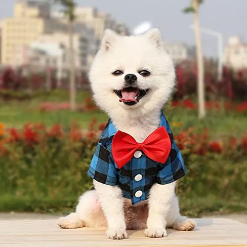 pomeranian winter clothes