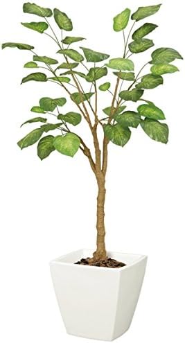 Amazon 法人様限定 フレッシュウンベラータ 屋外対応 ポット別売り Let68gl16 フェイクグリーン リーフ ツリー 人工観葉植物 屋外対応 フレッシュウンベラータ ウンベラータ ツリー 人工観葉植物 オンライン通販