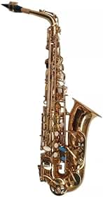Saxofone Alto Profissional Eb Laqueado, Dourado, com Estojo