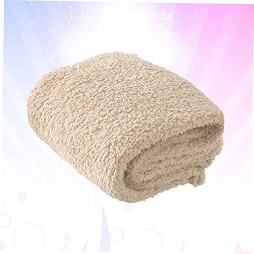 Couverture coussin tapis de couchage peluche chat chien lavable beige