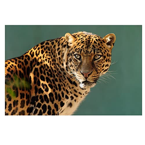 Peinture kit 5D diamant guépard broderie point de croix strass mosaïque 80x220