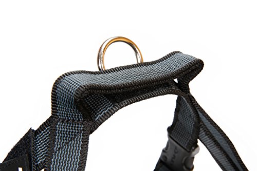 Julius-K9, IDC® Color & Gray® Beltgeschirr