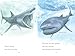 Sharks! (All Aboard Reading)