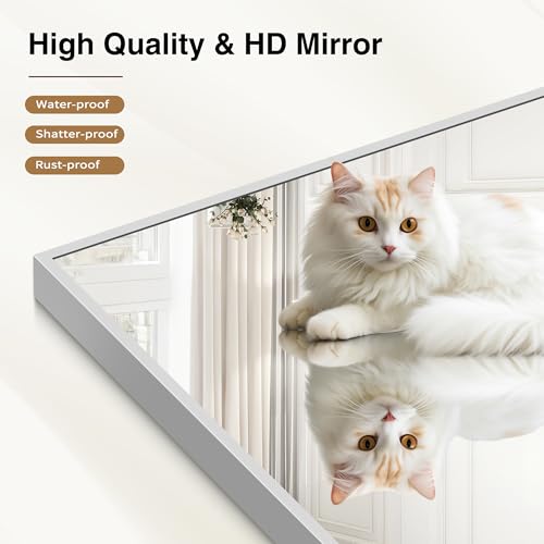 Image of COFENY 40x60inch Silver Bathroom Mirror, Silver Rectangle Mirror with Frame, Large Rectangular Wall Mirrors for Bathroom, Living Room, Hair Salon, Big Farmhouse Mirror Hang Horizontal /Vertical