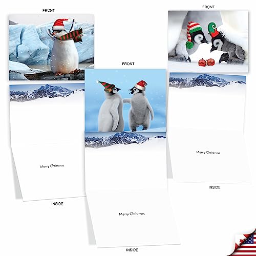Image of The Best Card Company - 10 Blank Animal Christmas Note Cards - Assorted Bulk Holiday Cards for Men and Women, Fun Wildlife (4 x 5.12 Inch) - Penguins and Greetings M2951XSB