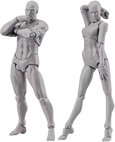 Body Kun Doll, Artists Manikin Blockhead Jointed Mannequin Drawing Figures for Figure Model Male+Female Set (Grey)