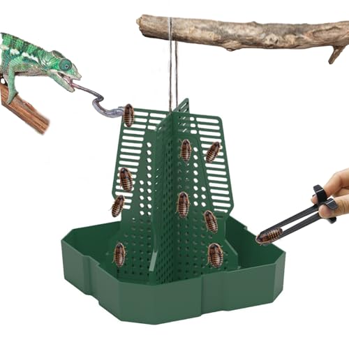 JWIZYOTR Chameleon Feeder Bearded Dragon Feeder for Mounted
