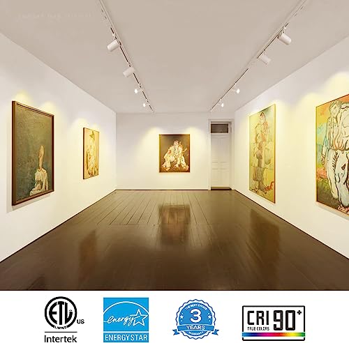 Leonlite 17.5W Commercial Series Led Track Lighting Heads, Cri90 H Track Lighting, Dimmable Track Light Head, Etl & Es Listed, 38° H Track Lighting Heads, 3000K Warm White, Matte White, Pack Of 4 #TOP1