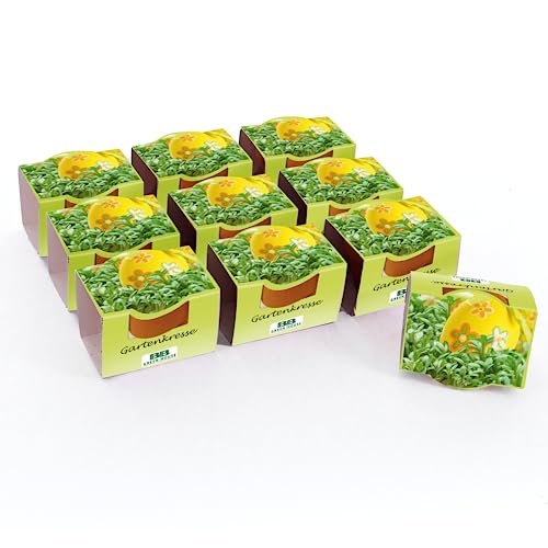 Bull & Bear Mini Pflanzset Gartenkresse Samen 10er Set, 10 Tontöpfchen mit Kressesamen, Pflanzsubstrat und Pflegeanleitung