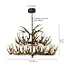 Antler Chandelier Double Layer,15 Lights, Retro Country Style Deer Horn Chandelier Lighting, Antler Candel Holder E12 Base, Antler Lamp for Cafes, Bars, Kitchen (18 Antlers + 15 Lights)