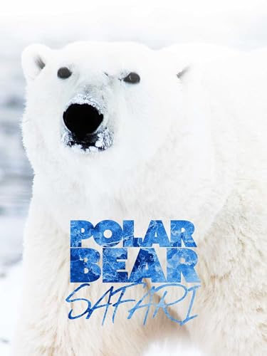 Polar Bear Safari