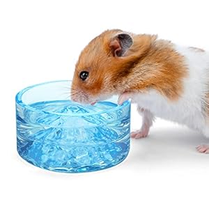 Niteangel Hamster Feeding & Water Bowls- Mount Fuji Series Glass Drinking Bowls for Dwarf Syrian Hamsters Gerbils Mice Rats or Other Similar-Sized Small Pets