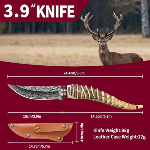 Plys Fixed Blade Knife, Hunting knife set, survival knife, fixed blade knife with sheath, Imitation Antler Handle, self defense weapons, Hand Forged Stainless Steel Camping barbecue Meat knife - Image 5