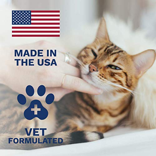 Under the Weather Anti-Diarrhea Liquid - Cat Anti Diarrhea Medication (4 oz Bottle)