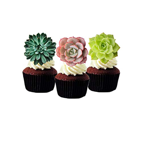 Georld 24Pcs Edible Cupcake Toppers Succulents Hawaiian Party Cake Summer Decoration,Not 3D … #TOP1